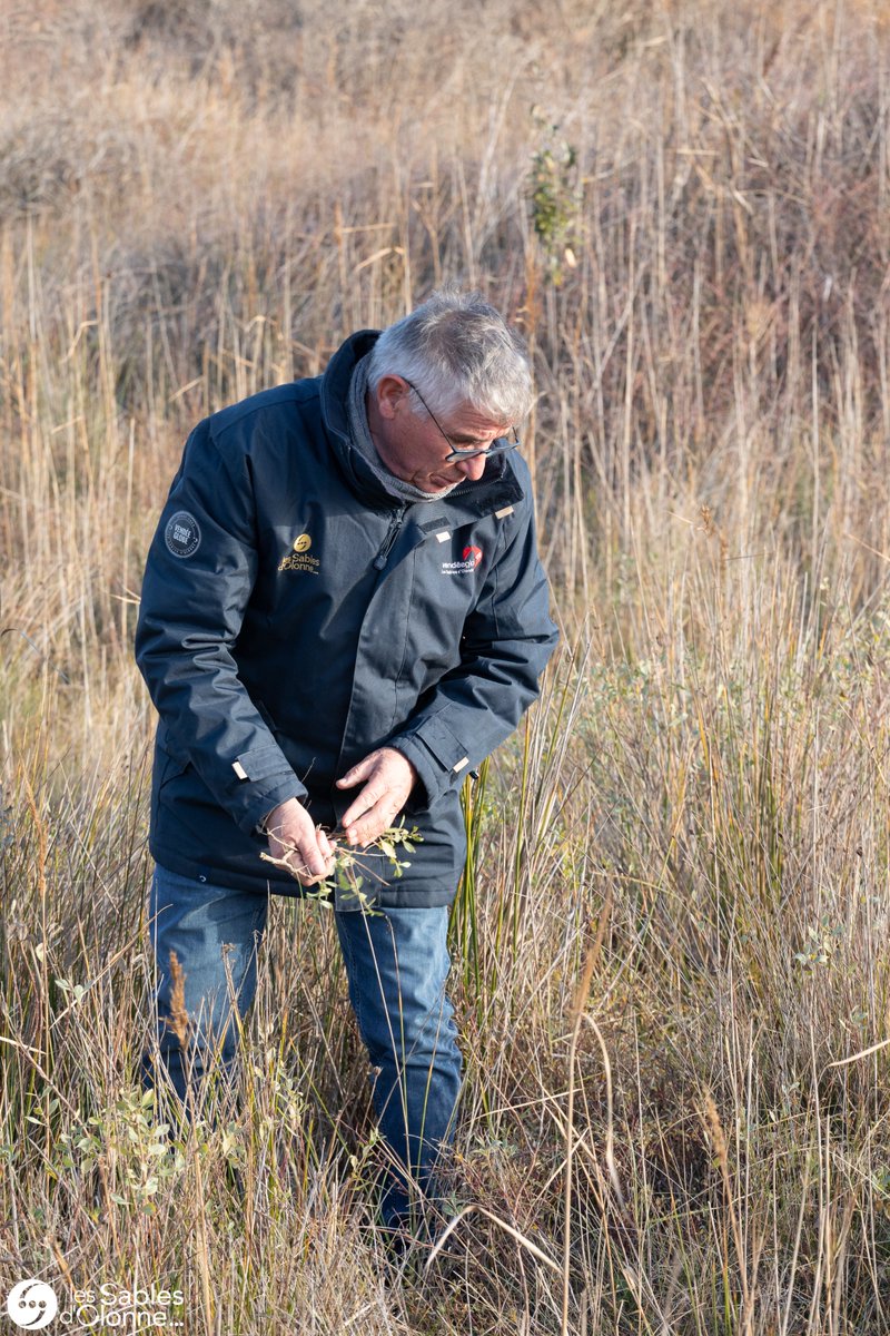 LES SABLES AGGLO tweet media