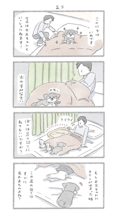 足元で寝る理由#こんにちはいぬです 