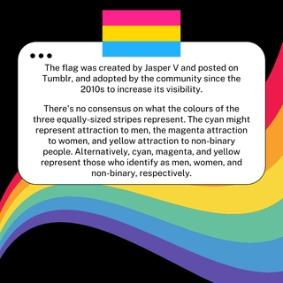 PrideNorthfield's tweet photo. Yesterday was Pansexual Pride Day. Pansexual is not a well understood term - The prefix pan- means all, so pansexuality is an attraction to all gender identities or attraction regardless of gender identity. However, everyone's experience may differ. All are valid. @northfieldaca https://t.co/1LaXhrhnG8