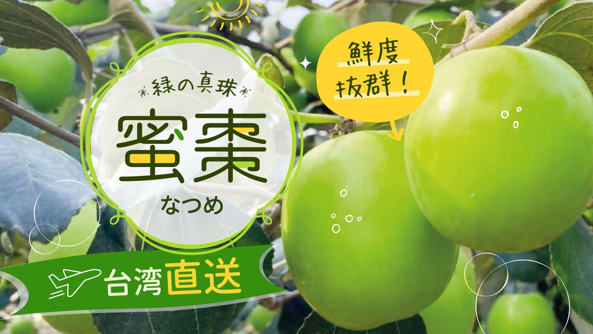 【台湾ロスは台湾フルーツで解消！】 緑の真珠「蜜棗(ナツメ)」をフレッシュなままで日本でも食べよう！ https://t.co/3J9HNQ5xnV 栄養の宝箱「蜜棗」にはビタミンCとカリウムがたっぷり！さっぱりとした甘さがクセになる～♡ #