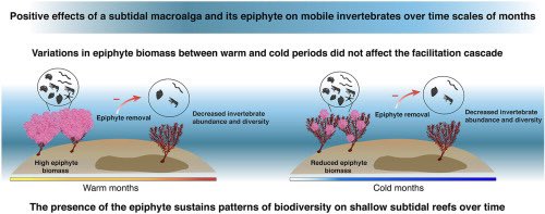 Chiara Ravaglioli (@cravaglioli) on Twitter photo ***NEW PAPER***
Check out our new research assessing the temporal dynamic of a #facilitation #cascade on shallow #rocky #reefs <a href="/RicercaUnipi/">Ricerca UNIPI</a> in collaboration with <a href="/DR_GRIB/">Paul Gribben</a> 👉🏻 es.sonicurlprotection-fra.com/click?PV=2&MSG… ***NEW PAPER***
Check out our new research assessing the temporal dynamic of a #facilitation #cascade on shallow #rocky #reefs <a href="/RicercaUnipi/">Ricerca UNIPI</a> in collaboration with <a href="/DR_GRIB/">Paul Gribben</a> 👉🏻 es.sonicurlprotection-fra.com/click?PV=2&MSG…