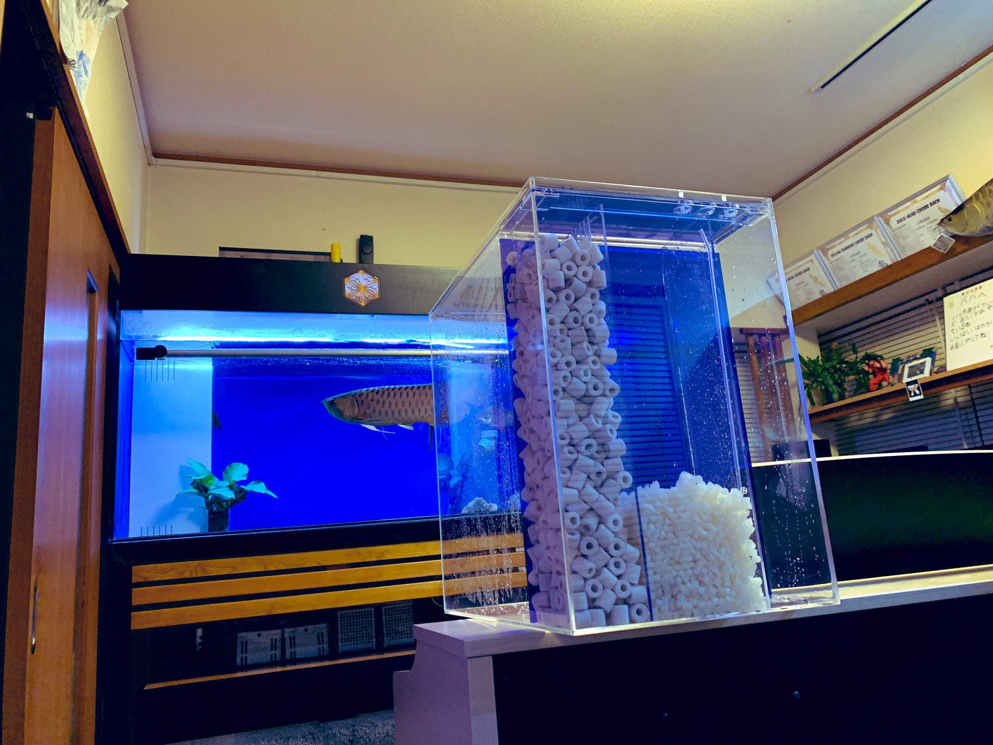 流動フィルター Twitter Search Twitter