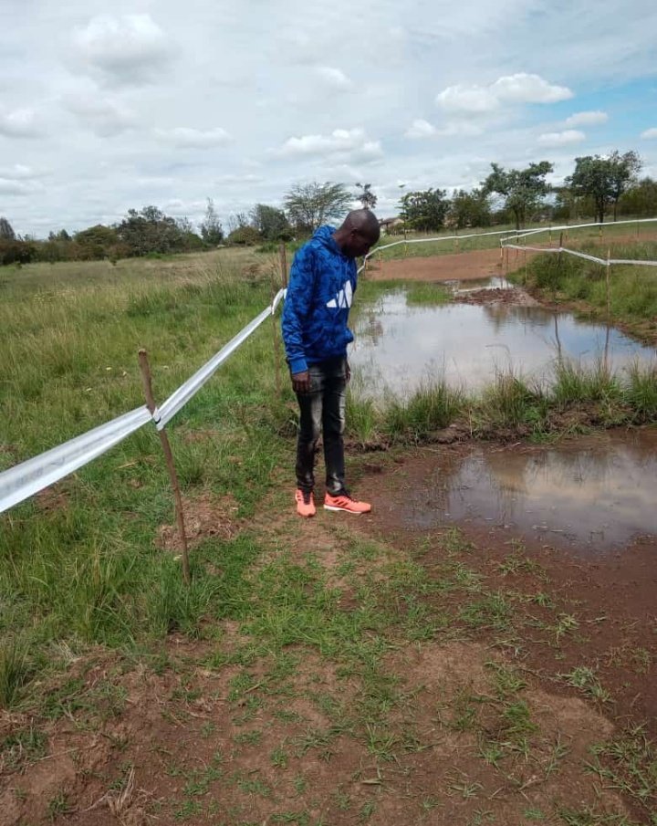 There seems to be a pond in the course for tomorrow's Kenyan XC trials!
