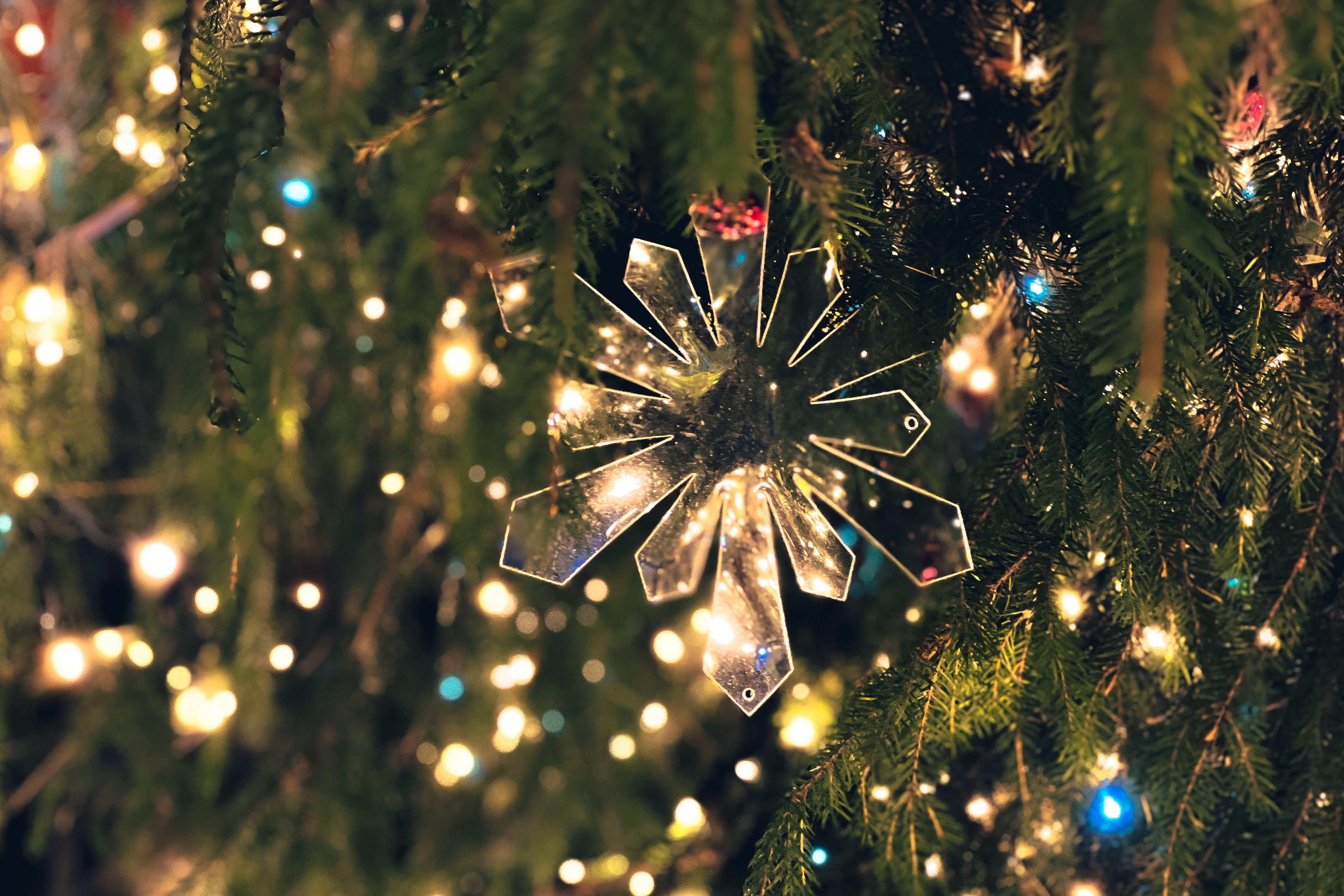 out       Natural  Xmas✩⡱灯りのともるキリカブhouse out Natural Xmas✩⡱灯りのともるキリカブhouse out Natural