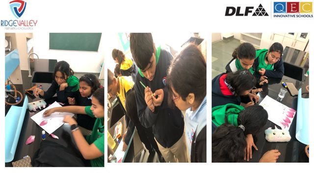 RidgeInfo's tweet photo. Flipped classes create an active learning environment. Students of Grade VII were enthusiastically engaged in dissecting and demonstrating the parts of a flower during the science class. #flippedclasses #studentengagement @NidhiTewarii https://t.co/PwTSTOEz4g