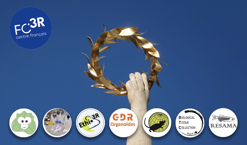 GIRCOR's tweet photo. 🔬🧪 Appel à projets #FC3R : 7 projets inscrits dans la pérénité et la mise en oeuvre des #3R pour un financement total de 260 076€
➡️ https://t.co/iqsaCgZTVQ https://t.co/Sh73cYnCxx