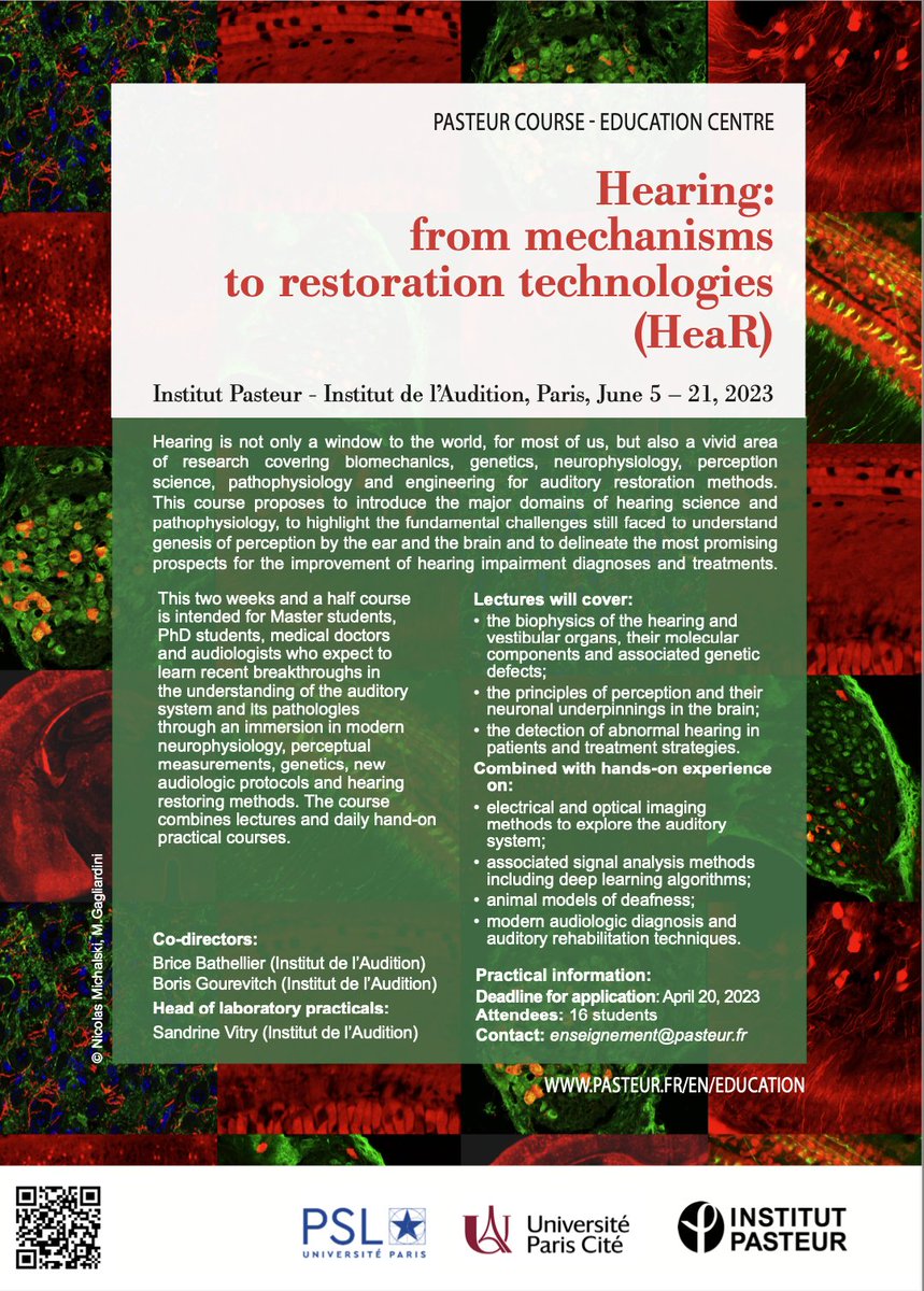 PasteurEdu's tweet image. @institutpasteur  Course dedicated to #Hearing, in June 2023.
A course with theoretical lectures and hands-on in contact with recognized specialists. @Bobopi314 &amp;amp; @BathellierL 
More information: pasteur.fr/en/education/p…