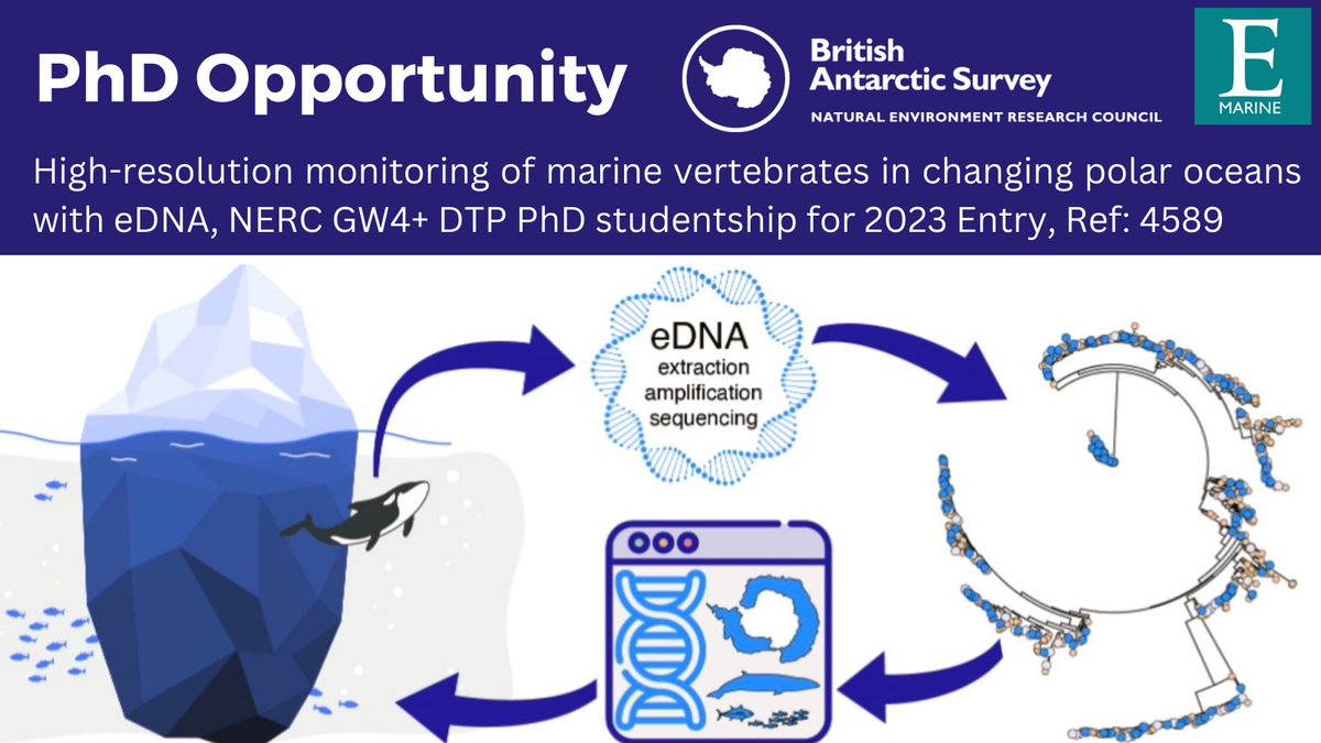 ✨ PhD Opportunity! ✨Bioinformatics and marine ecology - eDNA monitoring of vertebrates in polar systems 🧬@marinebugs @polarbiome collaboration between @UniofExeter and @BAS_News 🦭 ⏰ Applications close 9th Jan 2023 👉 exeter.ac.uk/study/funding/…