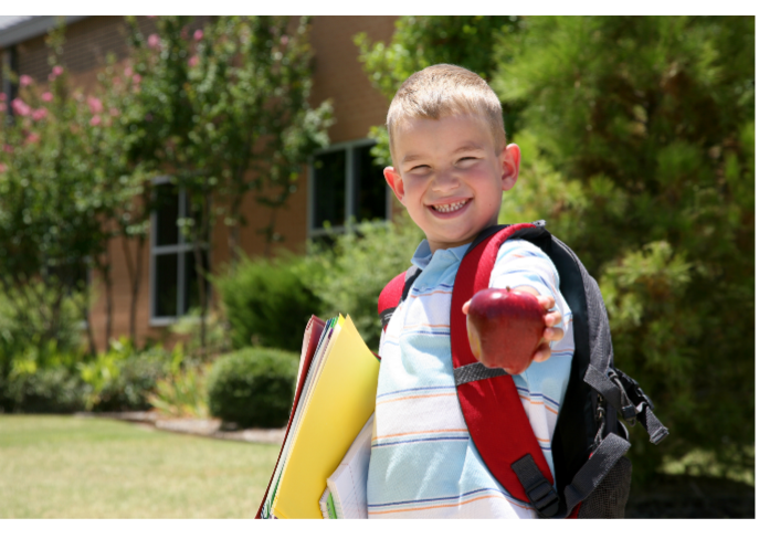 Werk jij in of met het speciaal onderwijs en wil jij meedenken over hoe er voor kinderen in het (V)SO passende voedseleducatiematerialen kunnen worden ontwikkeld? 
specialheroes.nl/nieuwsbericht/…