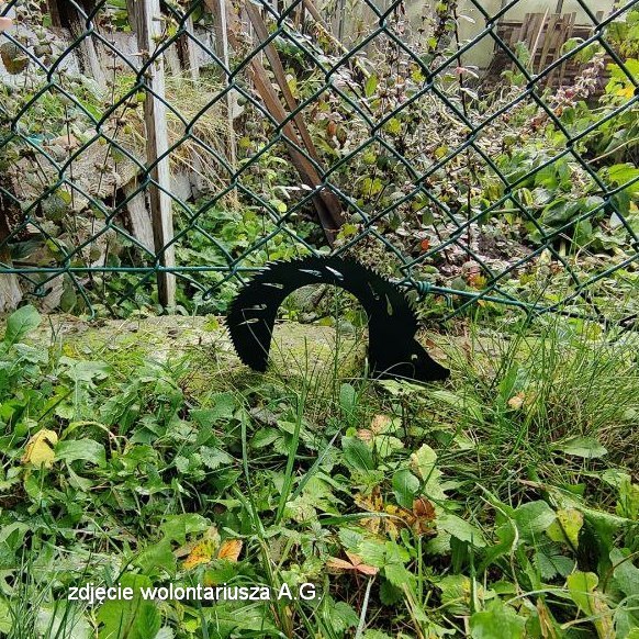 🧵Każda podróż rozpoczyna się od pierwszego kroku. 
Takim krokiem było zamontowanie 120 jeżoprzejść, dzięki grantowi otrzymanemu od sieci Biedronka w konkursie „Biedronka z Salamandrą dla Jeży”. Nie jest to wielka liczba, ale mamy nadzieję na kontynuowanie tej akcji. (1/5)