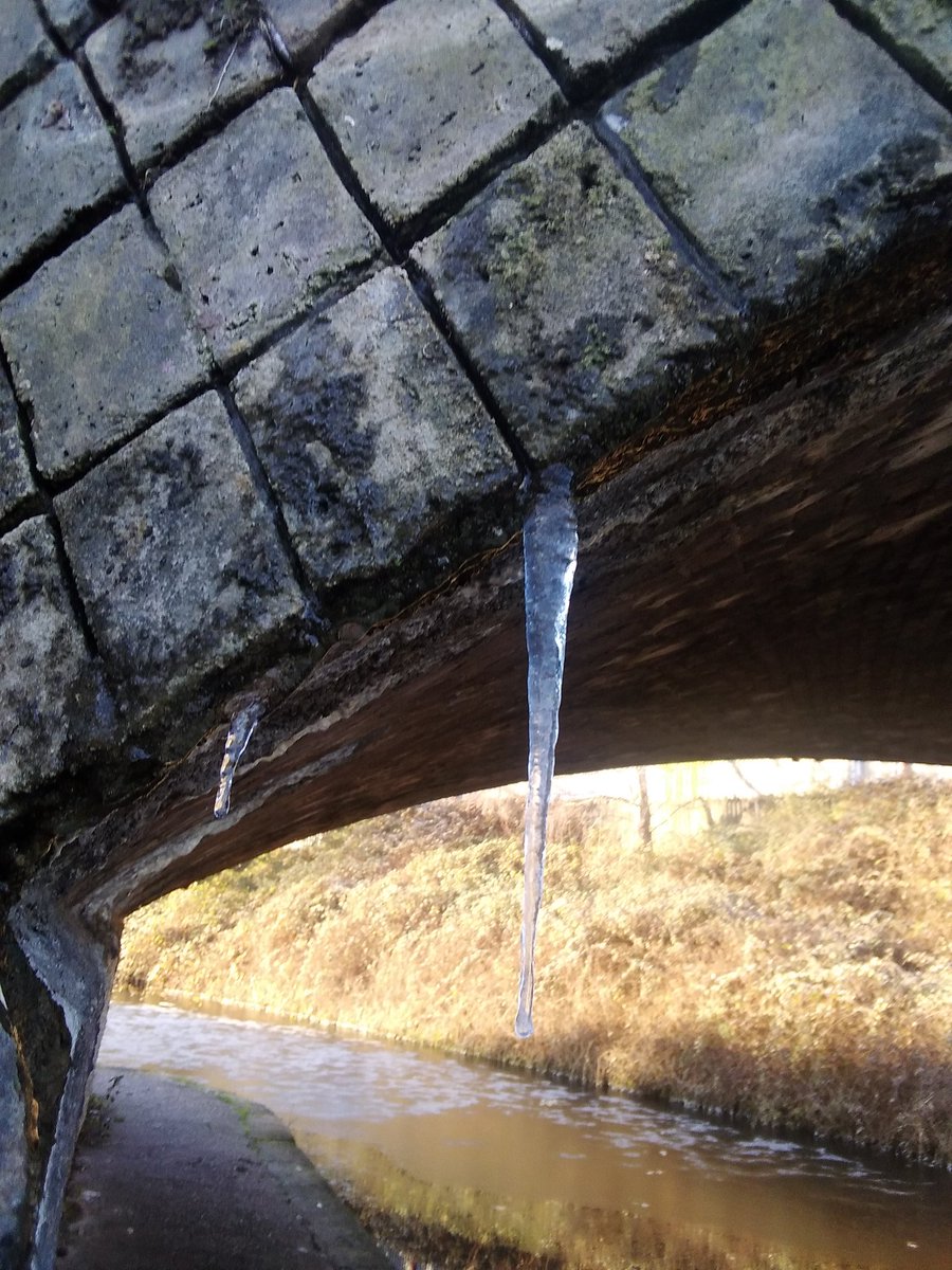 maryrbeddows's tweet photo. Off out on another winter wander today, along the #21Locks in #Wolverhampton, looking for an interesting spot to plot a murder. FOR MY BOOK. IT'S BOOK #RESEARCH (feel like I should clarify that point π)
Got the thermal gear on today, it's rather #cold (icicle as a weapon?) https://t.co/mowmn8yl23