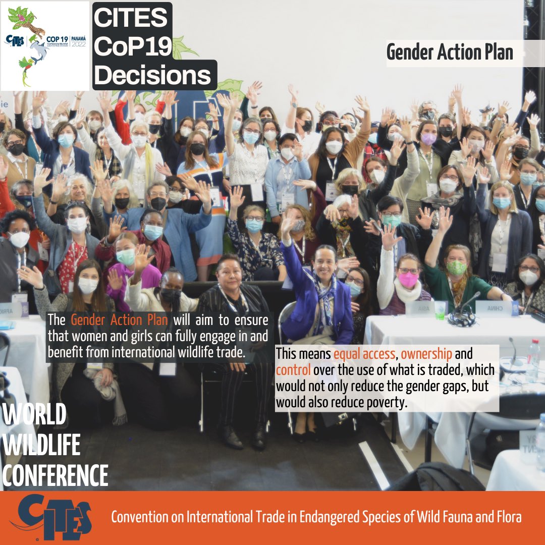 cites-on-twitter-for-the-first-time-in-cites-history-a-gender
