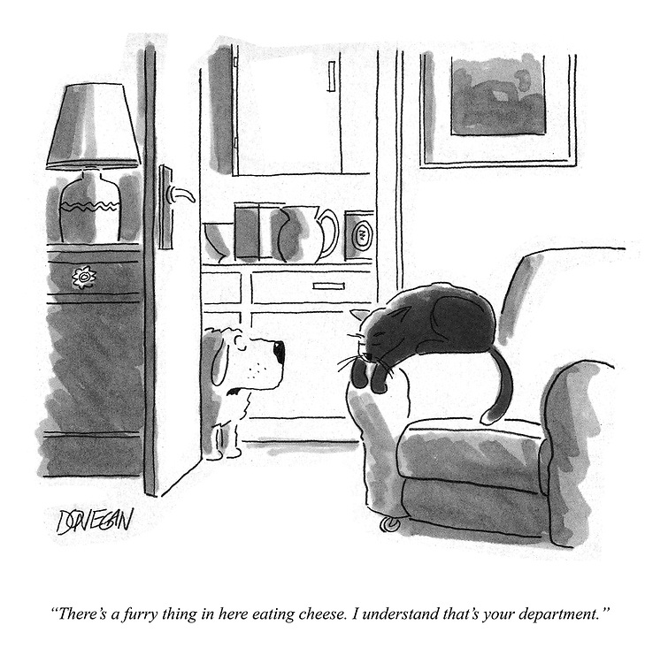 PunchBooks's tweet photo. Today's PUNCH Cartoon Classic. “There’s a furry thing in here eating cheese. I understand that’s your department.” By the great John Donegan 1986 #pets #dogs #cats #mice #mouse #jobs #work #employment https://t.co/LmQwxkbiNI