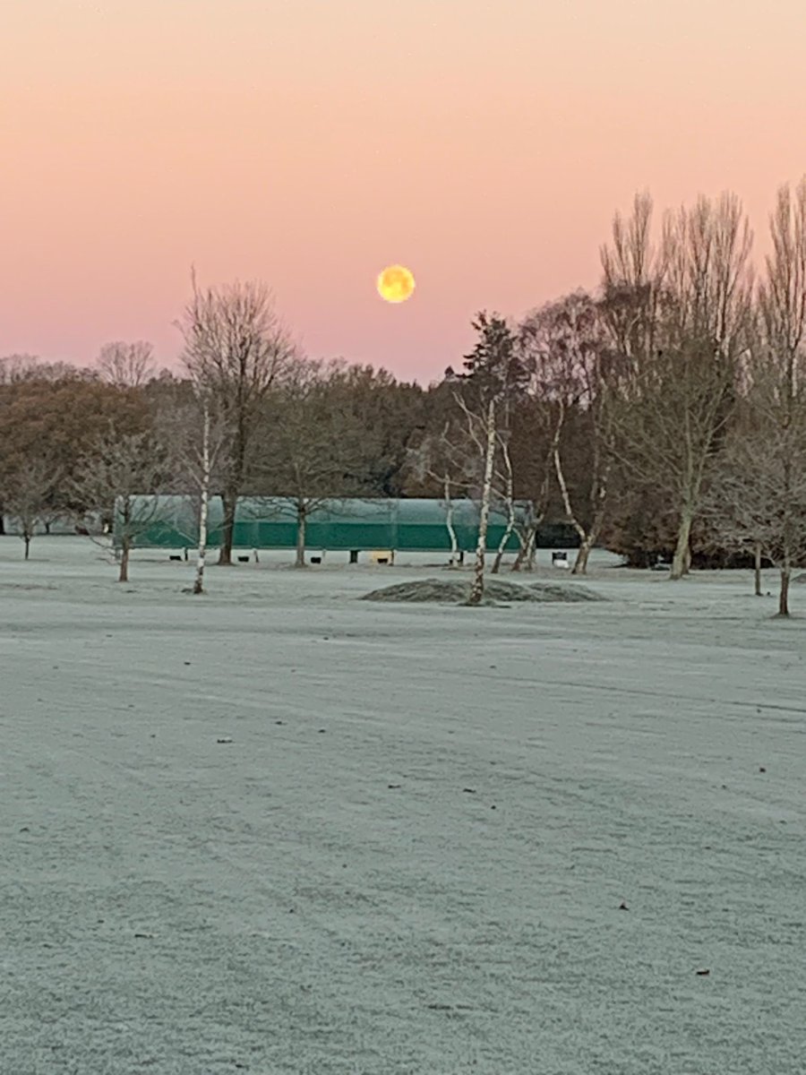 Rowlands Castle Golf tweet media