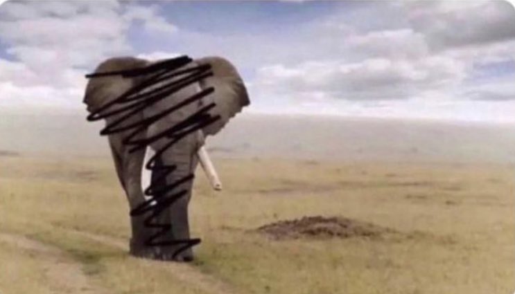 If you guess this animal i will drink tonight