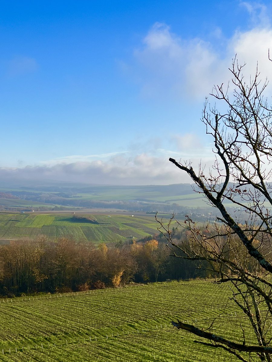 La Champagne. Ce matin.