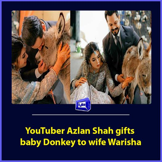 DunyaNews's tweet photo. #YouTuber #AzlanShah gifts baby donkey to wife #Warisha

https://t.co/JmBa0ngULt

#DunyaNews https://t.co/j227muRFbl