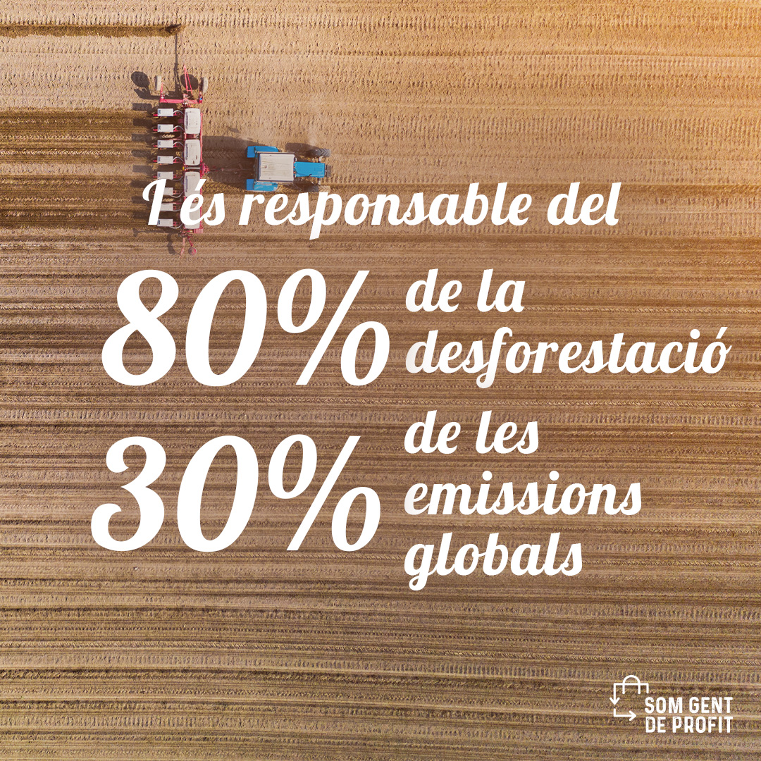 STOP al malbaratament alimentari! 🚫
Quan llencem menjar, també estem llençant els recursos que hem destinat per a la seva producció, sòl, aigua, energia i contribuïm de forma indirecta a l’increment d’emissions de CO₂ a l’atmosfera.😞 
Evitar-ho és la nostra responsabilitat. 🙌