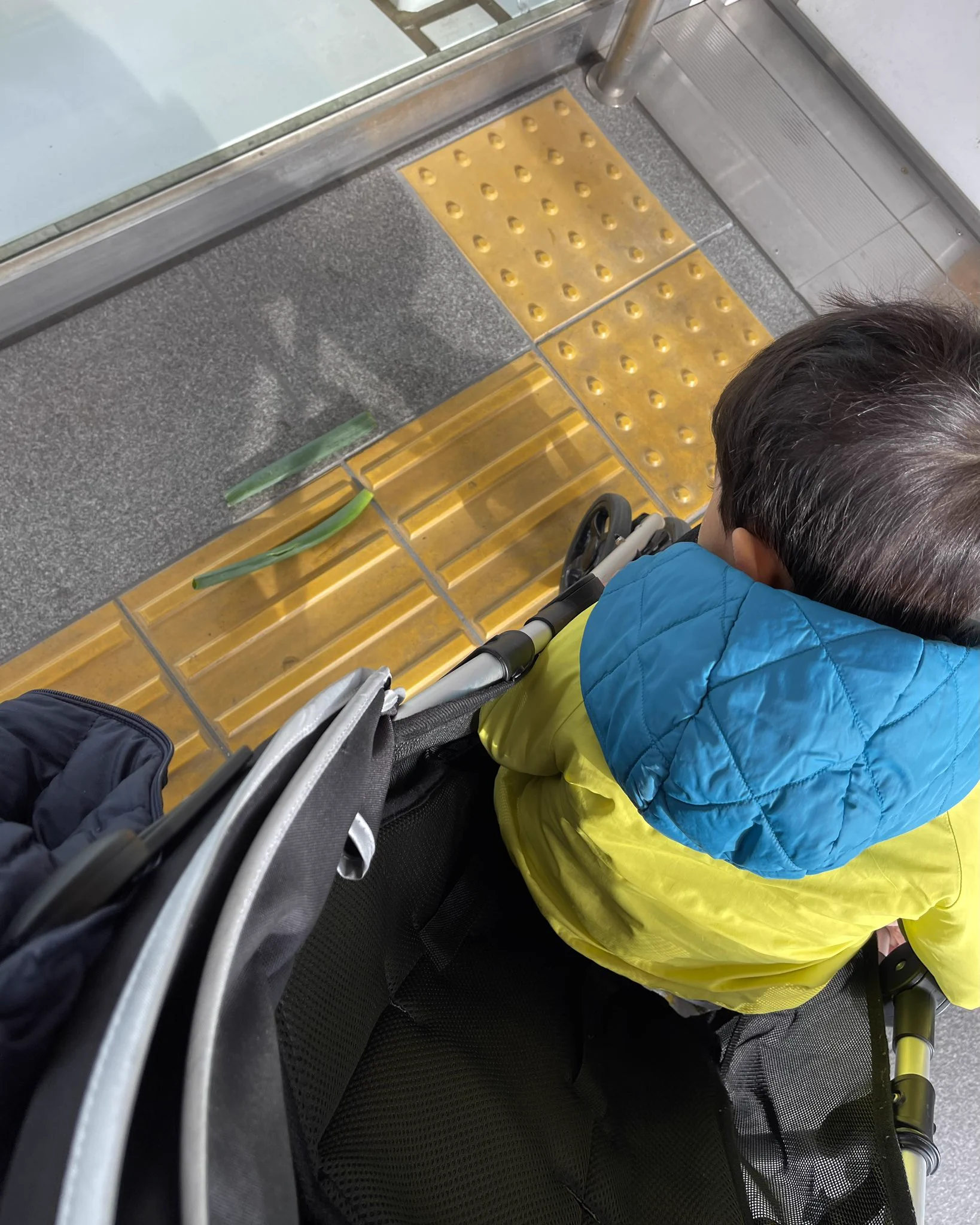 2歳に「飼いたい～」と言われた！野生のネギ！