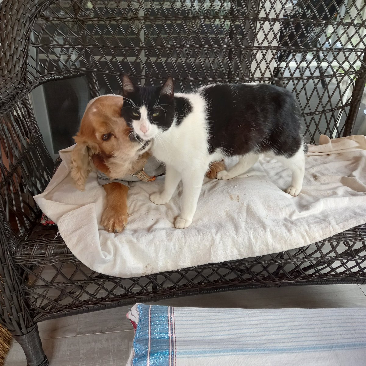 bir de bunlarım var...
❤️