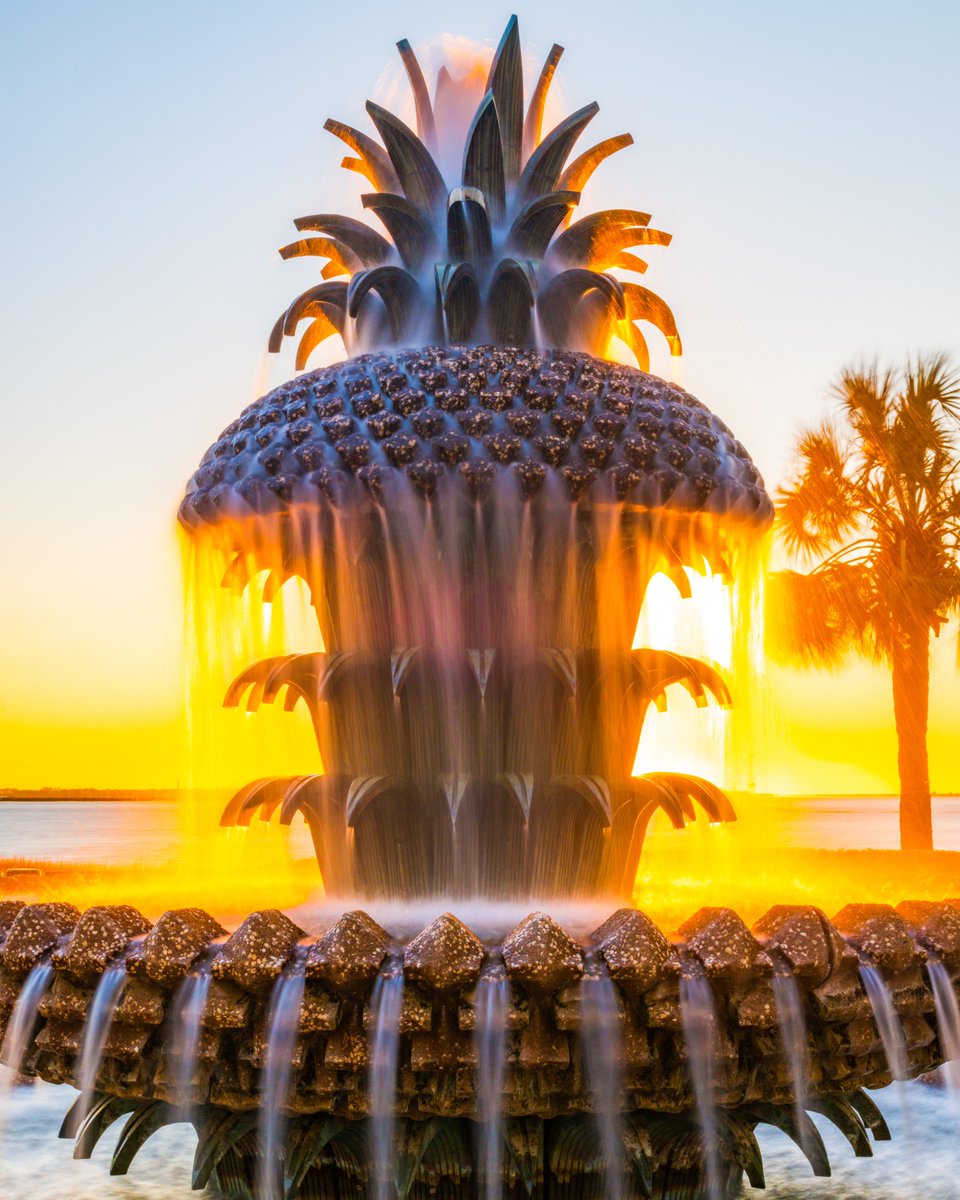 Charleston, SC 🌅