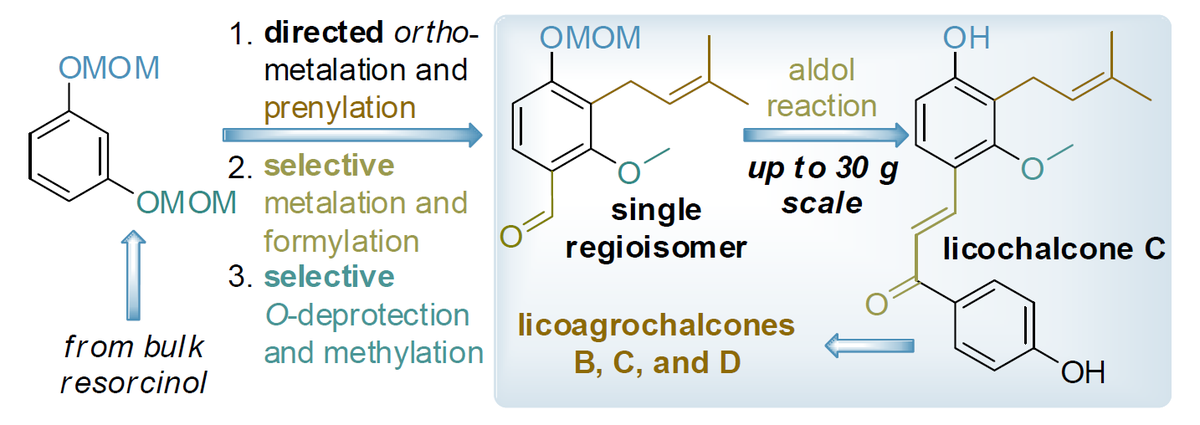 This work in <a href="/EurJOC/">EurJOC</a> is a step into a new area for me (and a tribute to old traditions of 🇺🇦 chemistry). At <a href="/EnamineLtd/">Enamine Ltd 🇺🇦</a> and <a href="/KyivUniversity/">КНУ ім. Т. Шевченка</a>, we synthesized 30 g of licochalcone C - as much as from 4 ton of licorice roots!
…mistry-europe.onlinelibrary.wiley.com/doi/10.1002/ej…
#UkraineWillWin #terroruzziMustDie