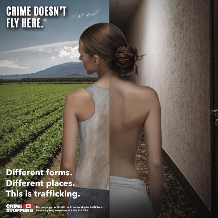 Different forms. Different places. This is trafficking. Recognize the various identities of #HumanTrafficking. Remain anonymous, call #CrimeStoppers 1-800-222-TIPS #CrimeDoesntFlyHere #OrganizedCrime #CommunitySafety #SayItHere #DitesLeIci #Canada