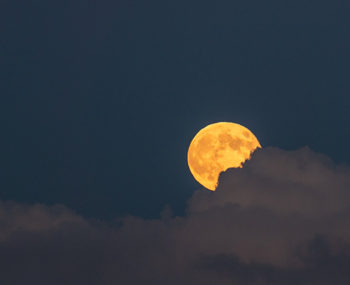 Yesterday's full moon coming out for the night.