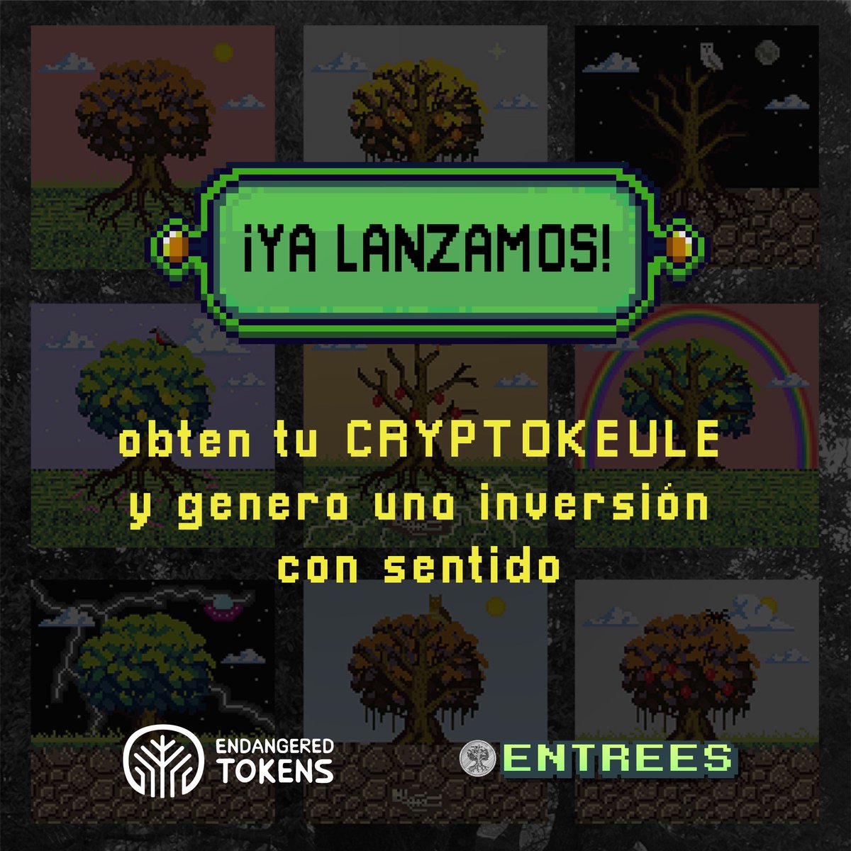 EntreesNFT's tweet image. ¡Es oficial! 🎉 ya pueden ser parte de nuestra comunidad ¿Cómo? 👇🏽

🔗 Ingresando a cutt.ly/x0t7xag conectando tu billetera Metamask en la red de Polygon podrás ser dueño (mintiar) de un CRYPTOKEULE 🌳

#nft #nfts #nftcommunity #crypto #conservation #finanzas #investment