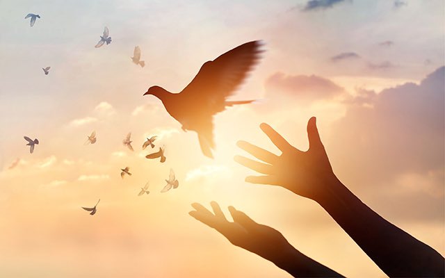 Dr. Joris M. Ray tweet media