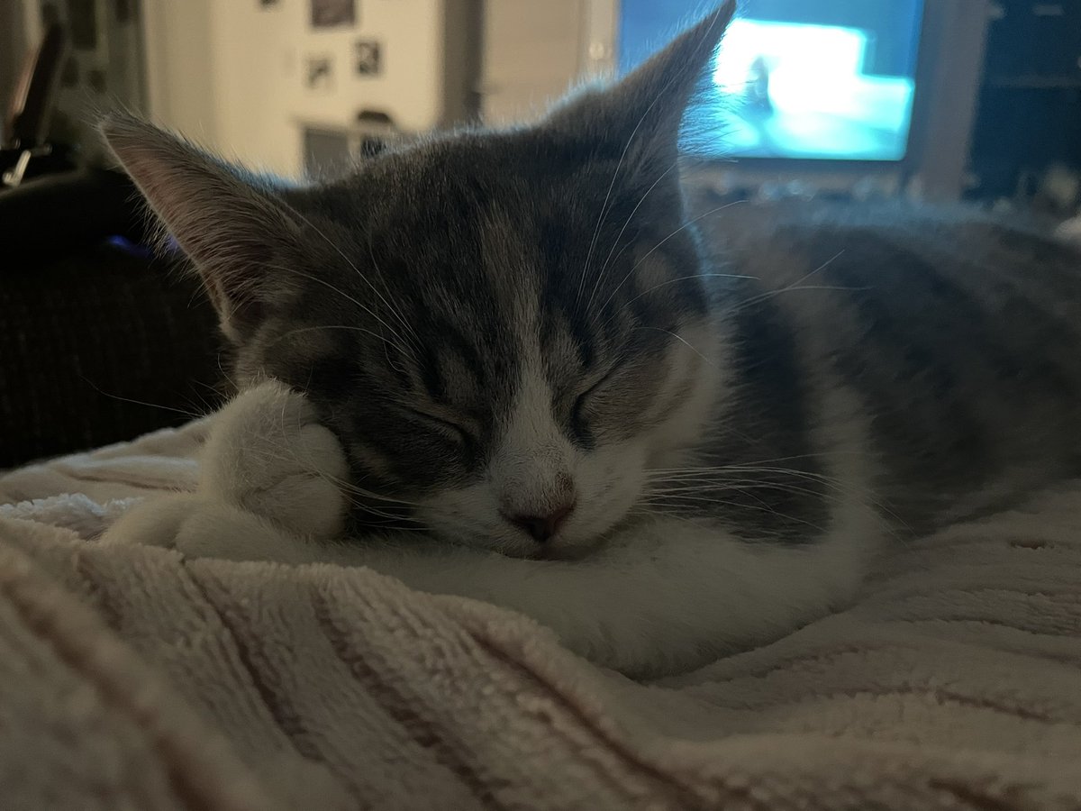 vielzuknuffig's tweet photo. <3 https://t.co/K4mlehPpwD