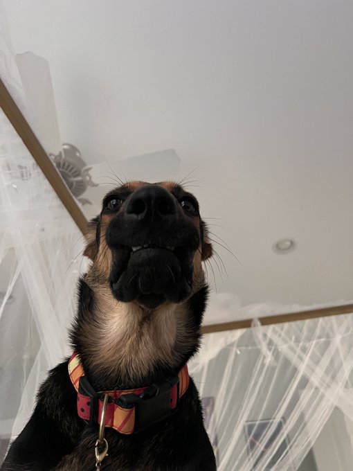 Literally just opened my eyes to this https://t.co/Im9OqKiEWu<a href="/tag/hxh"class="tags"><span>#hxh</span></a><a href="/tag/anyc"class="tags"><span>#anyc</span></a>