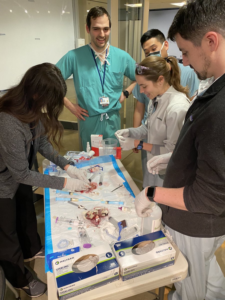 Great evening of lap simulator training for our @GUUrology residents including complex suturing, firing all kinds of staplers, and applying hemostatic agents to every type of bleed possible! @RossKrasnow @KeithKow