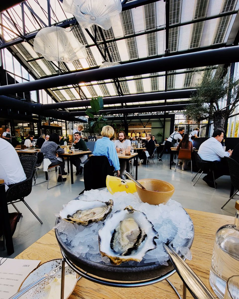 Julie Qiu tweet media