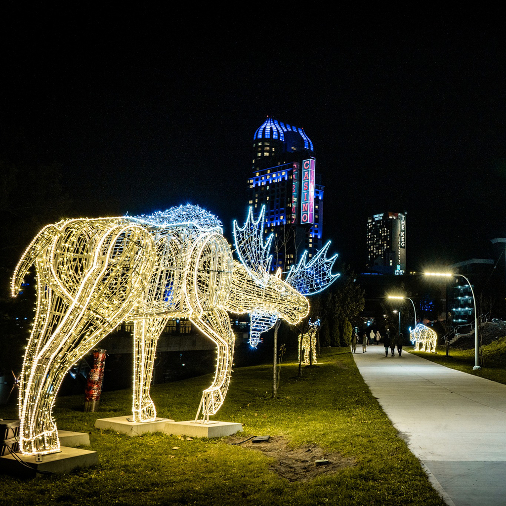 Connect with family in the great outdoors at the Winter Festival of Lights and experience the wonder of the Falls and it's surrounding business and attractions as the backdrop. Explore the City Path through the Enchanted Forest display behind the Skylon … instagr.am/p/Cl83HRDrpxW/