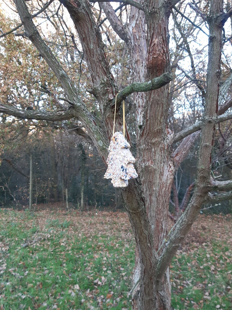 What a lovely way to end a busy week in our Wellness Through Nature group this afternoon.. keeping warm and toasting marshmallows round the camp fire, making s'mores and hanging up the bird feeders we made yesterday  @BEHMHTNHS <a href="/BenNLFS/">Ben Mensah</a> <a href="/EdwinSekyere/">Edwin Sekyere</a> <a href="/Jocarroll1/">Jo Carroll</a> <a href="/NHSForest/">NHS Forest</a>