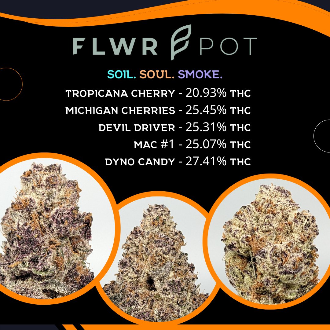 northcoastjv's tweet photo. It's #FLWRpot Friday!
Save 30% off FLWRpot flower, concentrates, and clones!
Order now: https://t.co/wDqUQy3s26
#cannabis #michigan #mmmp #arborside #northcoastprovisons #thc #CannabisCommunity https://t.co/E9gTTT7B9U