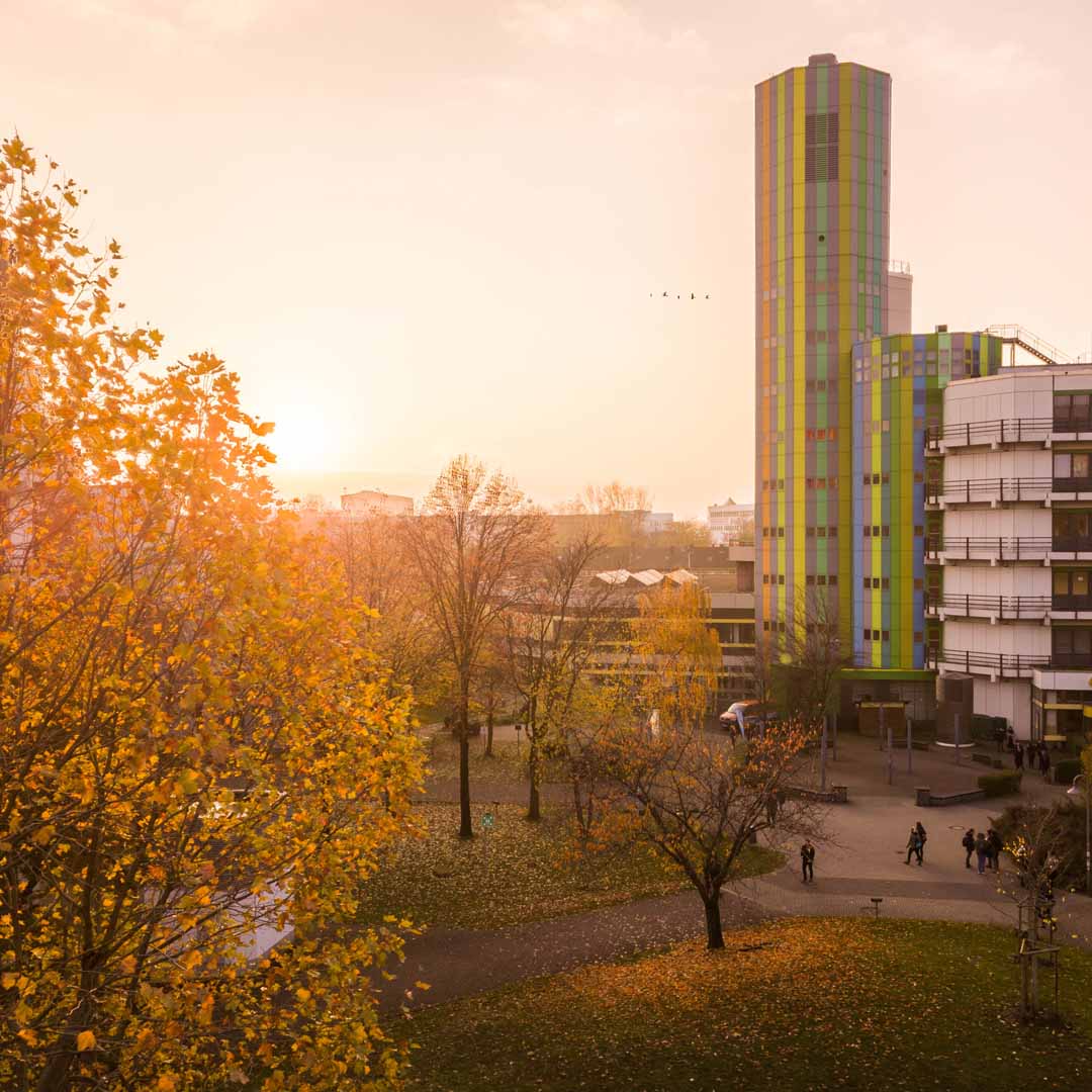 #UDEWochenendbild #CampusEssen