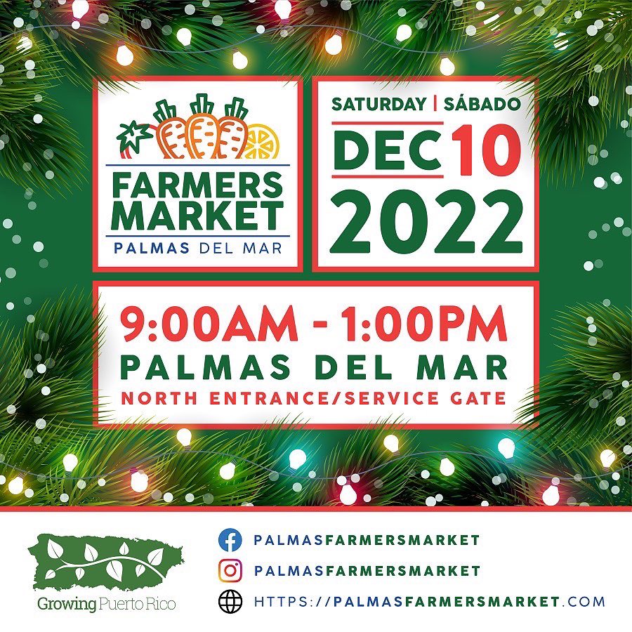 wegrowpr's tweet photo. ¡Únase a nosotros para el último Palmas #FarmersMarket del 2022! ¡Venga con hambre para una gran variedad de opciones de brunch y compras navideñas! Recuerde traer sus bolsas insuladas para los productos frescos y locales de nuestros agricultores y ganaderos. https://t.co/5cS4KXXzzt