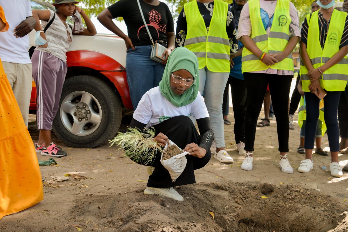 GivingTuesdayTZ's tweet photo. Apart from the Beach Clean-up, there was also a Tree planting session.
The trees were planted in areas around the Beach to promote Environmental conversation and Climate Philanthropy.
#GivingTuesday #GivingTuesdayTZ
@GivingTuesdayTZ @GivingTuesday @FCSTZ @GivingTueAfrica https://t.co/RCJDLSKgwd