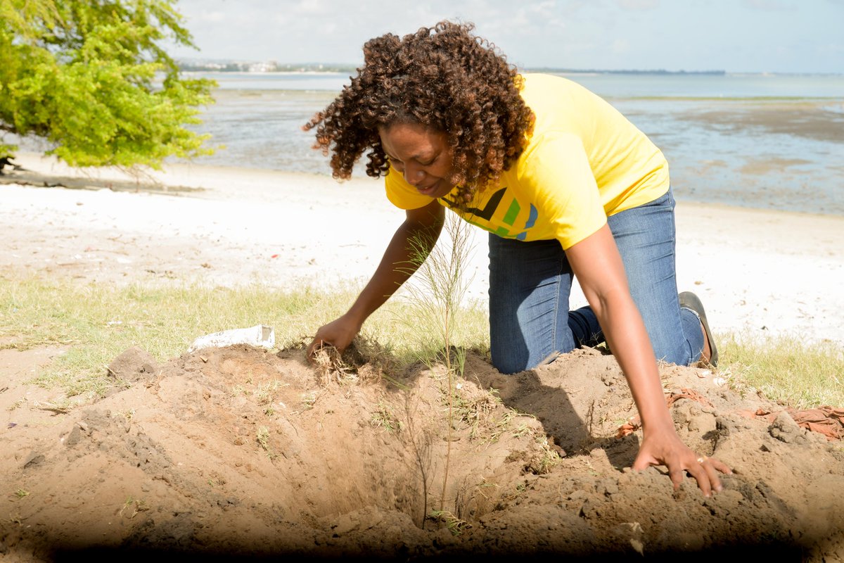 GivingTuesdayTZ's tweet photo. Apart from the Beach Clean-up, there was also a Tree planting session.
The trees were planted in areas around the Beach to promote Environmental conversation and Climate Philanthropy.
#GivingTuesday #GivingTuesdayTZ
@GivingTuesdayTZ @GivingTuesday @FCSTZ @GivingTueAfrica https://t.co/RCJDLSKgwd