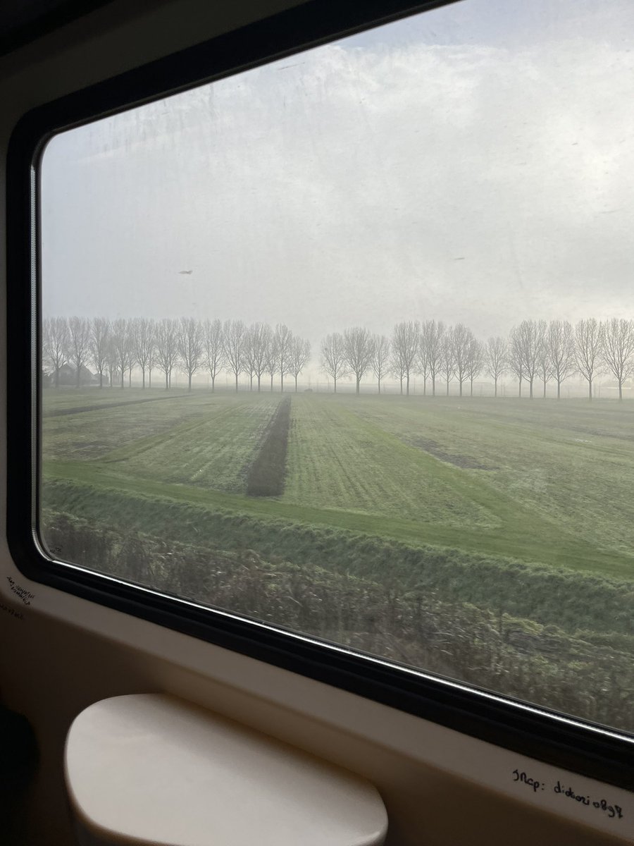 BalaChaudhary's tweet photo. Goodbye Leiden &amp; thank you @AAlzateVallejo @RenskeOnstein, &amp; Caroline Dracxler for organizing a fabulous workshop &amp; @Naturalis_Sci on Dispersal Traits funded by @JBiogeography. 👏🏽 Met some amazing researchers, fostered important collaborations, &amp; made new friends. #iheartscience https://t.co/i58A1vCXXS