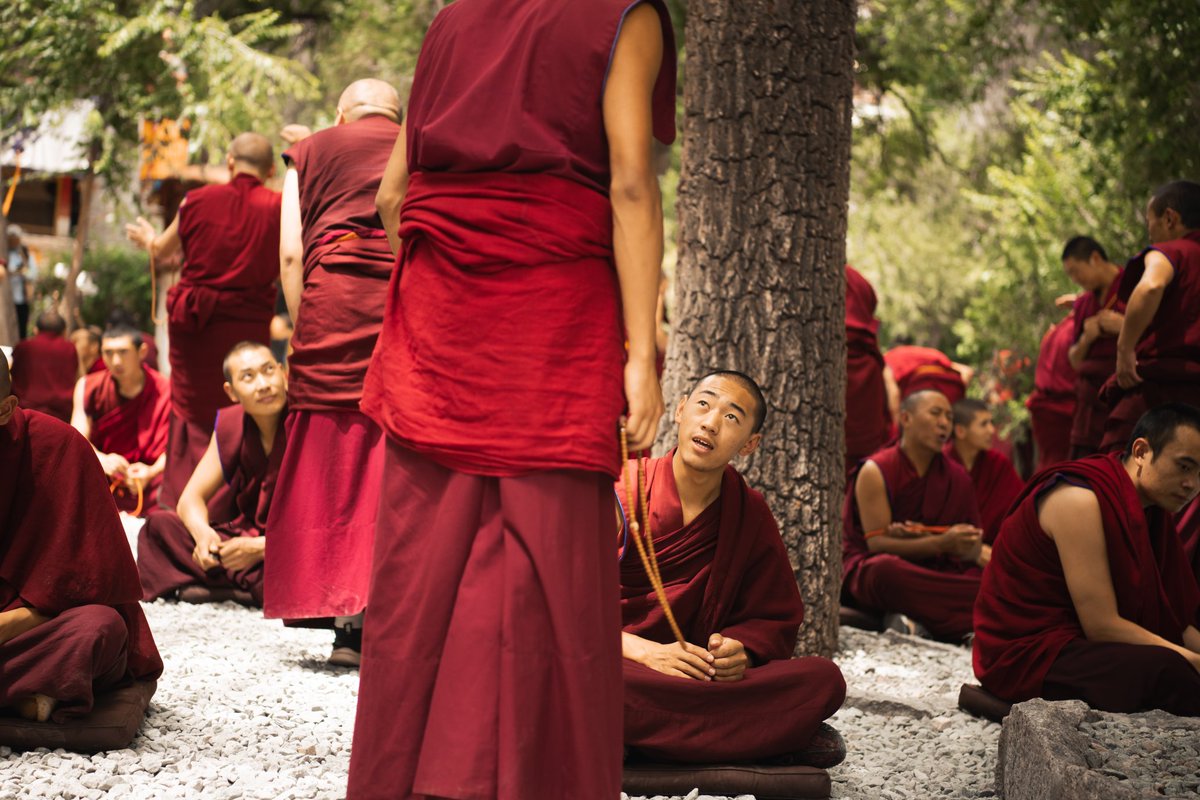 Tanesy13's tweet photo. @VisualsbySauter Few recent from Tibet https://t.co/7Wm88yQ75u