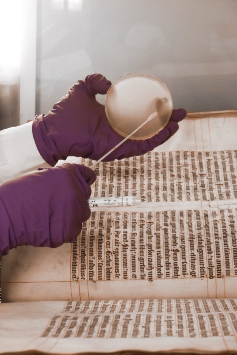 Cecilia G. Flocco tweet media