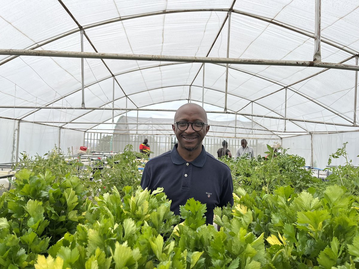 Office of the MMC for Economic Development tweet media