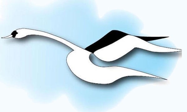UHMBT's tweet photo. The Swan Model is used to support and guide the care of patients and their loved ones during end of life care, and afterwards. It’s about providing excellent, individualised care to every patient and their family - every time @SwanLaunchUHMBT #SwanModelofCare #NHS @bridgetlees1 https://t.co/XRug1mCftz