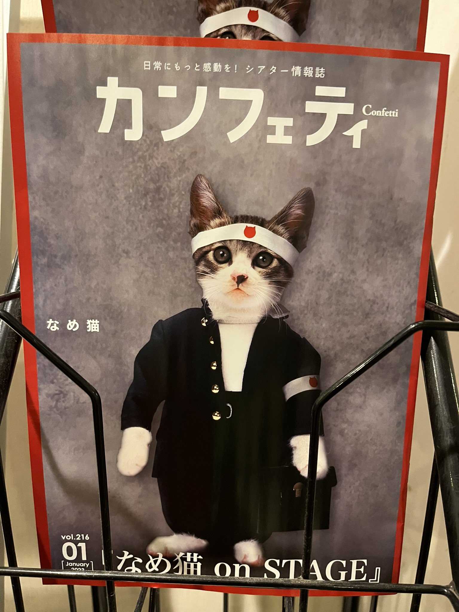 なめ猫 Twitter Search Twitter