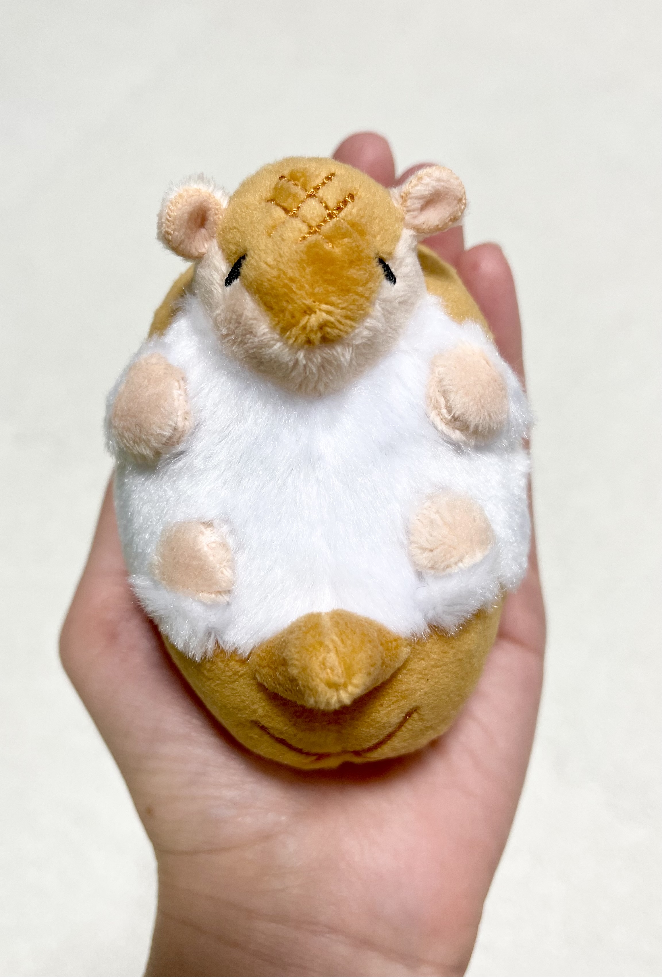 吸血鬼すぐ死ぬ 子ジョンのまるっとぬいキーホルダー こか