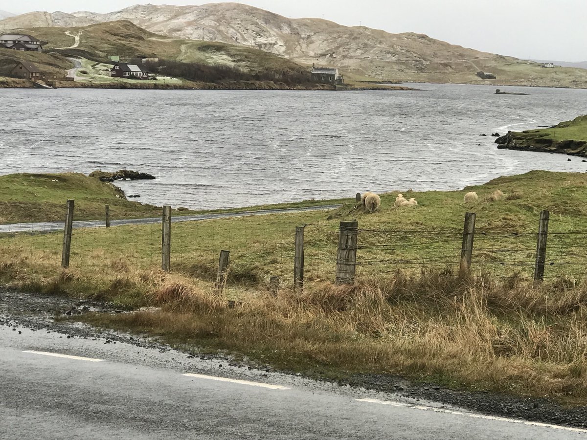 AnnCleeves's tweet photo. A wintry Shetland walk to the shop for eggs. https://t.co/fvbm4L8D3a
