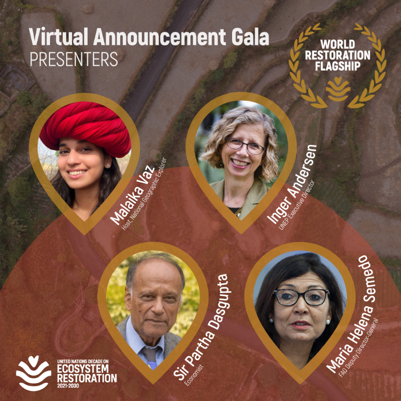 UNEP's tweet photo. Inspiring and leading voices are coming together with world leaders to celebrate the world's most promising #GenerationRestoration initiatives. Tune in for a Virtual Gala on 13 December: https://t.co/H6MrgMCLd8